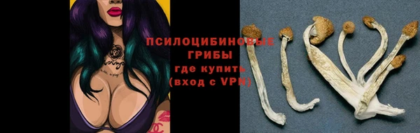 COCAINE Богданович