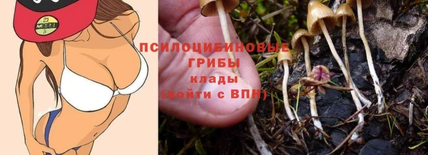 прущая мука Богородицк